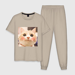 Мужская пижама Мем про котов