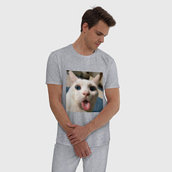Пижама хлопковая мужская Мем про кота, цвет: меланж — фото 2