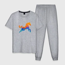 Пижама хлопковая мужская Конь цветной, цвет: меланж
