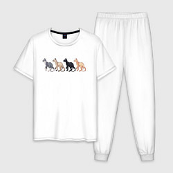 Пижама хлопковая мужская Сфинксы, цвет: белый