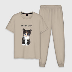 Пижама хлопковая мужская Кот с вопросом, цвет: миндальный