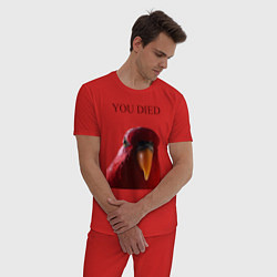 Пижама хлопковая мужская Красный попугай, цвет: красный — фото 2