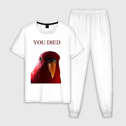 Мужская пижама Красный попугай