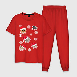Пижама хлопковая мужская Новогодние Коты в Шапках, цвет: красный