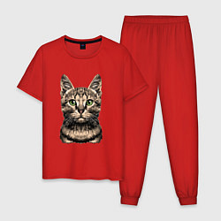 Пижама хлопковая мужская Нарисованный бенгальский кот, цвет: красный