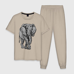 Мужская пижама Огромный могучий слон