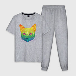 Пижама хлопковая мужская Радужный котик rainbow cat, цвет: меланж