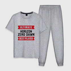 Пижама хлопковая мужская Horizon Zero Dawn и таблички Ultimate и Best Playe, цвет: меланж