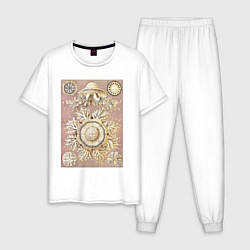 Пижама хлопковая мужская Discomedusae-Schweibenquallen II Медуза, цвет: белый