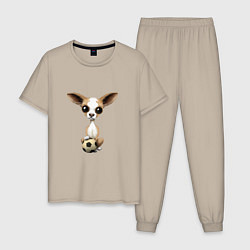 Пижама хлопковая мужская Футбол - Чихуахуа, цвет: миндальный