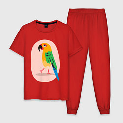 Пижама хлопковая мужская Пoпугaй, цвет: красный