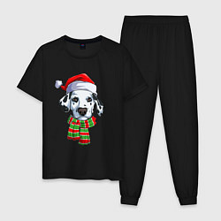 Пижама хлопковая мужская Новогодний далматинец, цвет: черный