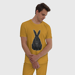 Пижама хлопковая мужская Черный водяной кролик - 2023, цвет: горчичный — фото 2