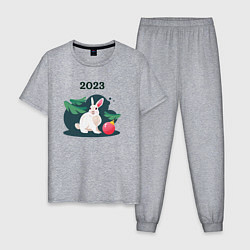 Пижама хлопковая мужская Новогодний кролик 2023, цвет: меланж
