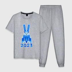 Пижама хлопковая мужская Геометрический синий кролик 2023, цвет: меланж