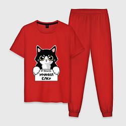 Пижама хлопковая мужская Кот преступник, цвет: красный
