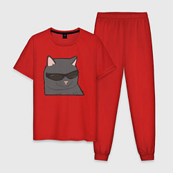 Пижама хлопковая мужская Серый котик в очках, цвет: красный