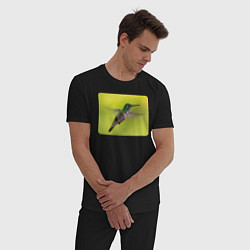 Пижама хлопковая мужская Милая колибри, цвет: черный — фото 2