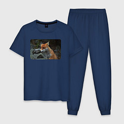 Пижама хлопковая мужская Лисичка на камнях, цвет: тёмно-синий
