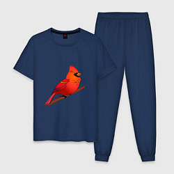 Мужская пижама Птица красный кардинал