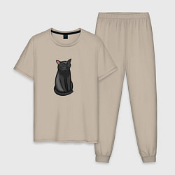 Мужская пижама Кот с пустым взглядом - мем