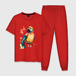Пижама хлопковая мужская Попугай в брызгах краски, цвет: красный