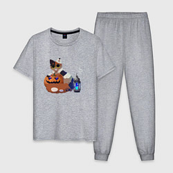Пижама хлопковая мужская Кошка с Тыквой, цвет: меланж