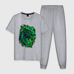 Пижама хлопковая мужская Дракон 2024 зеленый, цвет: меланж
