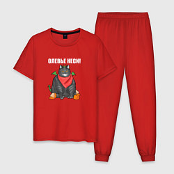 Пижама хлопковая мужская Неси оливье - 2024, цвет: красный