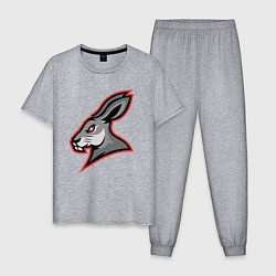 Пижама хлопковая мужская Rabbit team, цвет: меланж