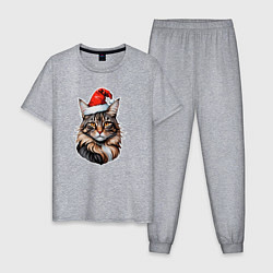 Мужская пижама Кот породы Мейн-кун в новогодней шапке