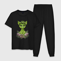 Пижама хлопковая мужская Зелёный дракончик в сосновых шишках, цвет: черный