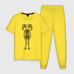 Пижама хлопковая мужская Баран анфас, цвет: желтый