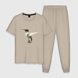 Мужская пижама Рубиновогорлый колибри