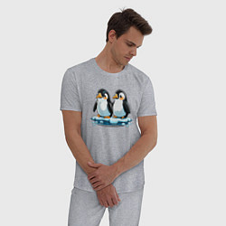 Пижама хлопковая мужская Два пингвина на льдине, цвет: меланж — фото 2