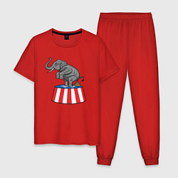 Пижама хлопковая мужская Poop elephant, цвет: красный