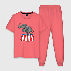 Пижама хлопковая мужская Poop elephant, цвет: коралловый