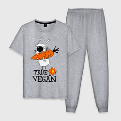 Пижама хлопковая мужская True vegan (истинный веган), цвет: меланж
