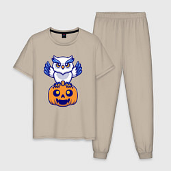 Пижама хлопковая мужская Halloween owl, цвет: миндальный