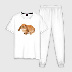 Пижама хлопковая мужская Рыжий пушистый кролик, цвет: белый