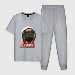 Пижама хлопковая мужская Pug life, цвет: меланж