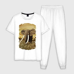 Пижама хлопковая мужская Могучий слон, цвет: белый