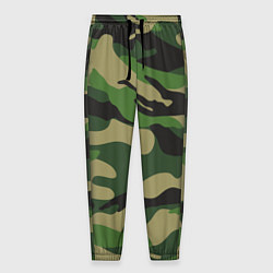 Мужские брюки Камуфляж: хаки/зеленый