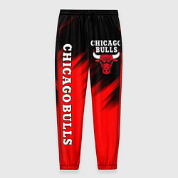 Мужские брюки CHICAGO BULLS