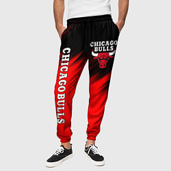 Брюки на резинке мужские CHICAGO BULLS, цвет: 3D-принт — фото 2