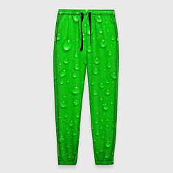 Мужские брюки Зеленый фон с росой