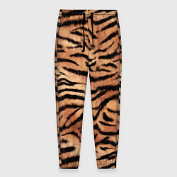 Мужские брюки Полосатая шкура тигра
