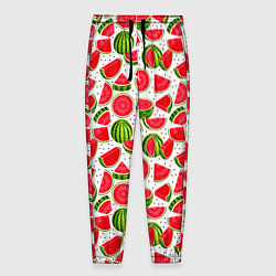 Брюки на резинке мужские Нарезанный арбуз, цвет: 3D-принт