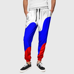 Брюки на резинке мужские Патриот - флаг, цвет: 3D-принт — фото 2