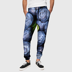 Брюки на резинке мужские Черника, цвет: 3D-принт — фото 2